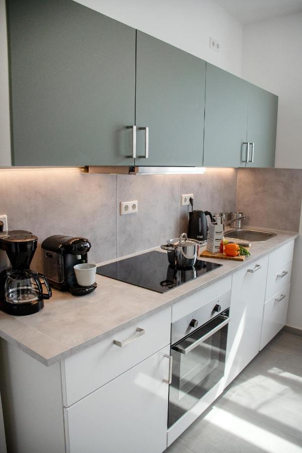 바트샨다우 Haus Wettin 아파트 외부 사진