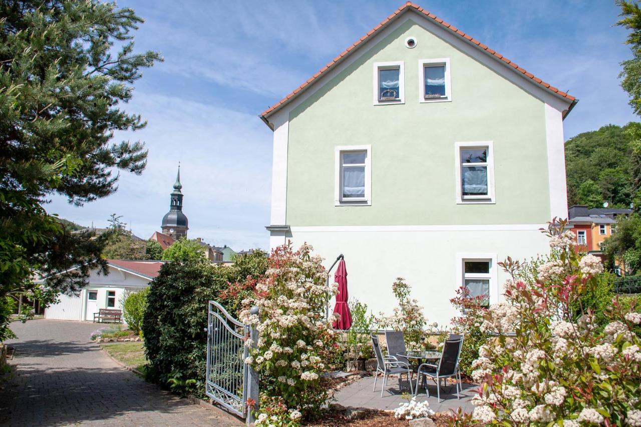 바트샨다우 Haus Wettin 아파트 외부 사진